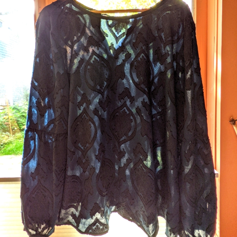 Lovely Loft sheer blouse NWT